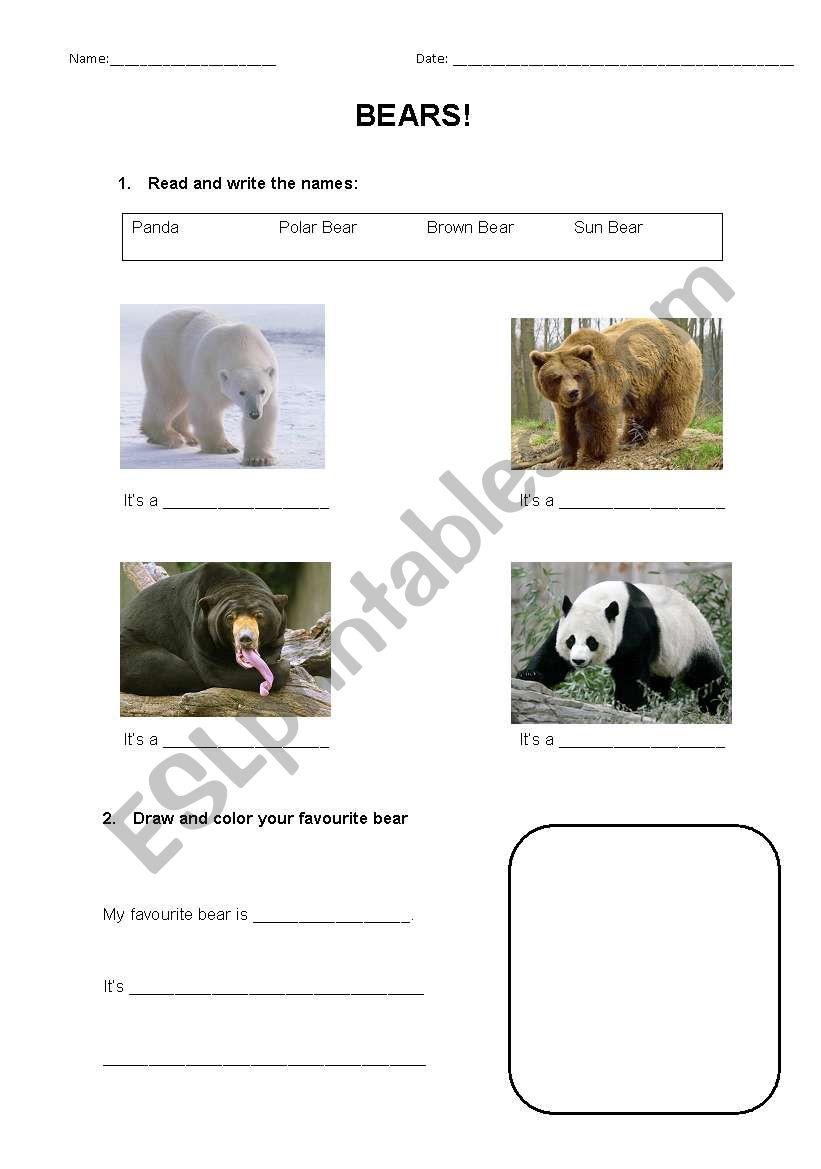 Bears! worksheet