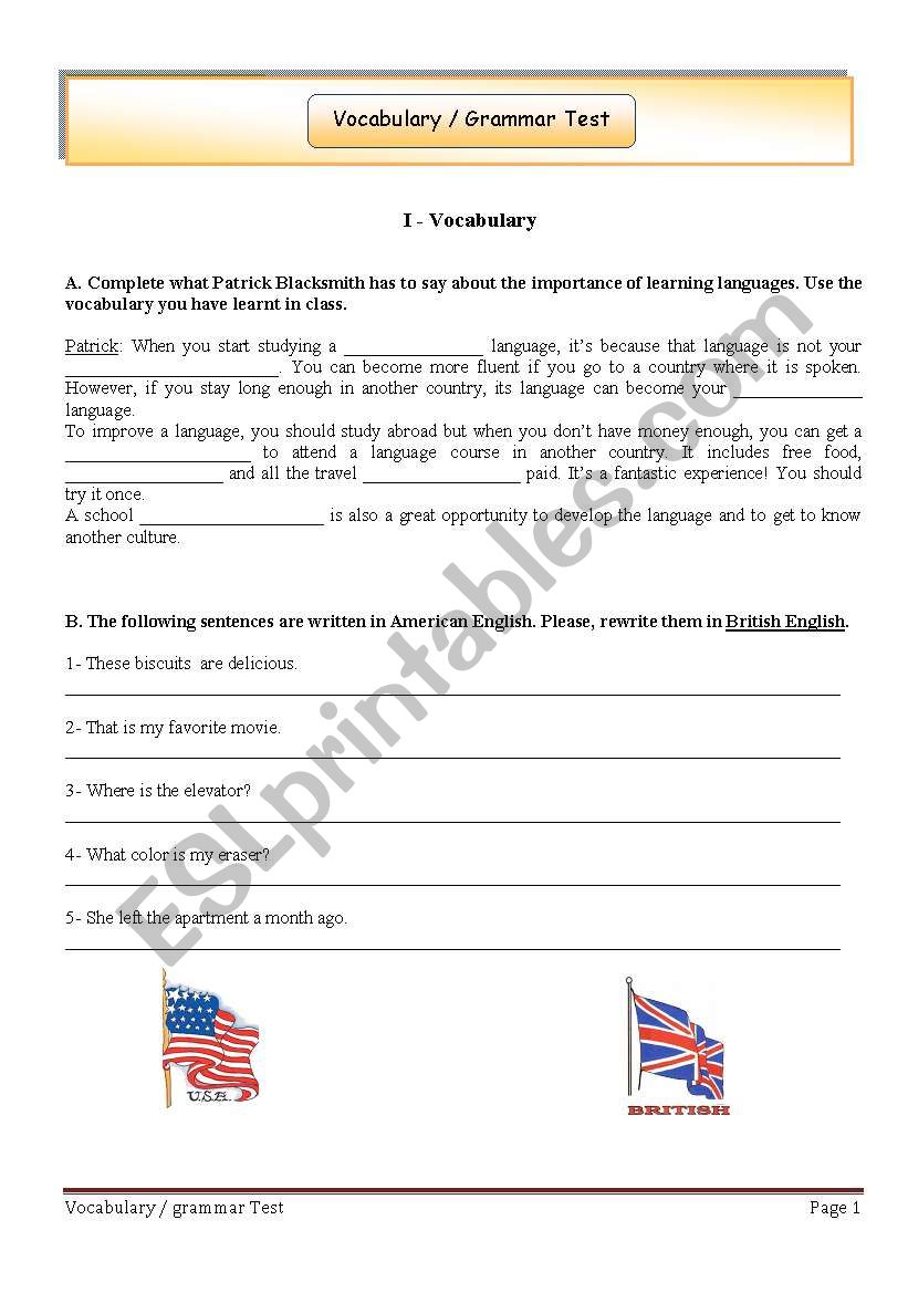 Vocabulary / Grammar Test worksheet