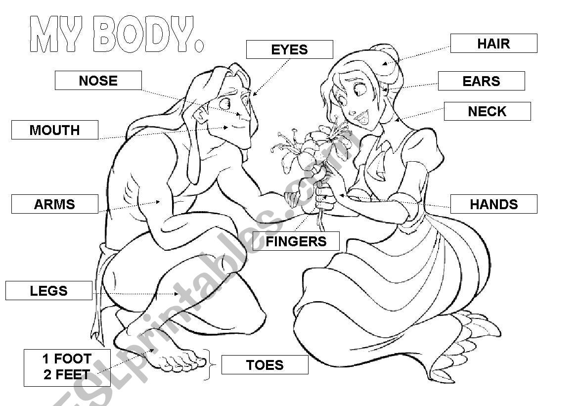 Parts of the body worksheet