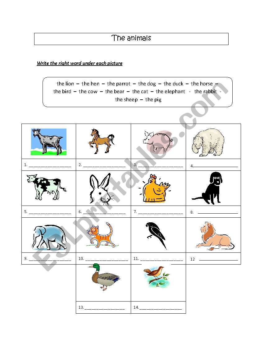 The animals (vocab sheet) worksheet