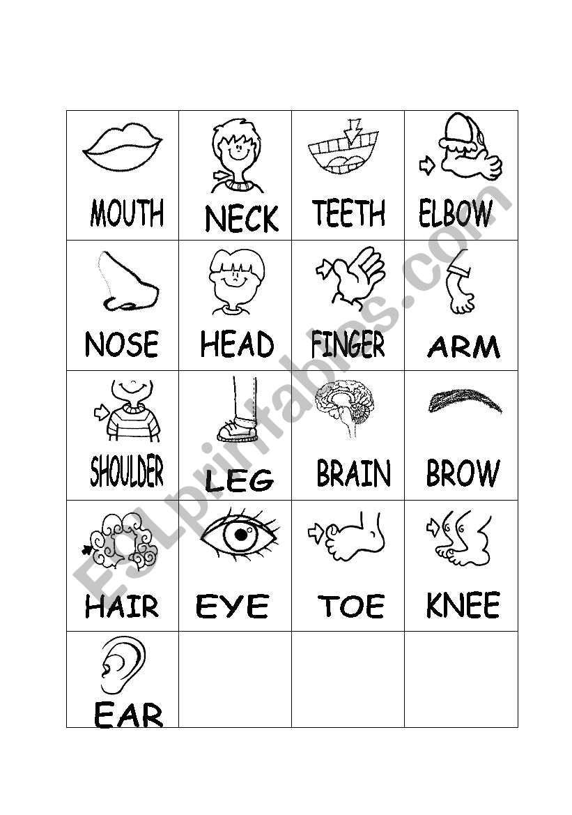 PARTS OF THE BODY worksheet