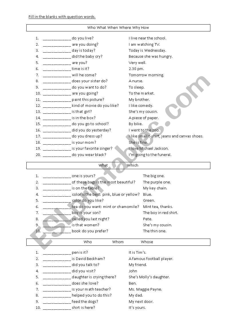 Question Word worksheet