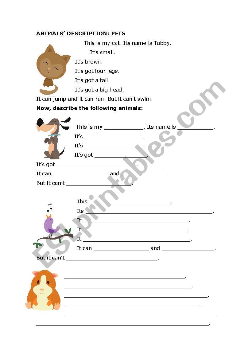 animals description. Pets worksheet