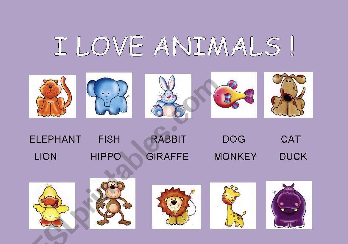 I LOVE ANIMALS worksheet