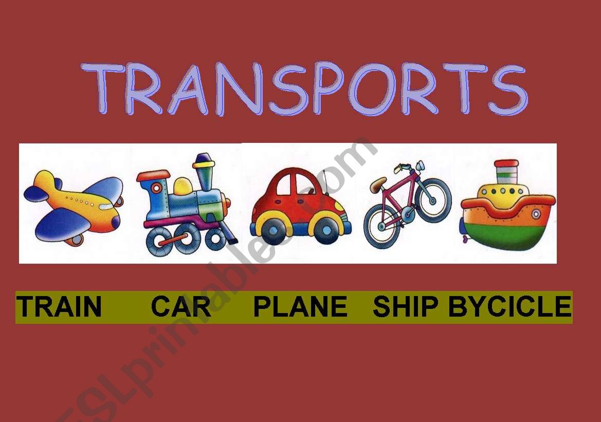 TRANSPORTS worksheet