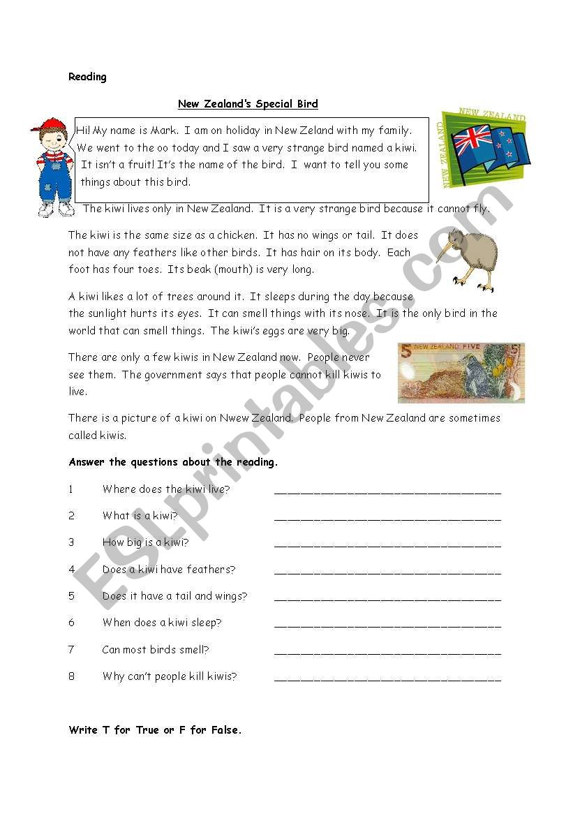 new zealands special word worksheet