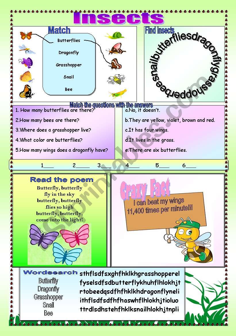 Insects worksheet