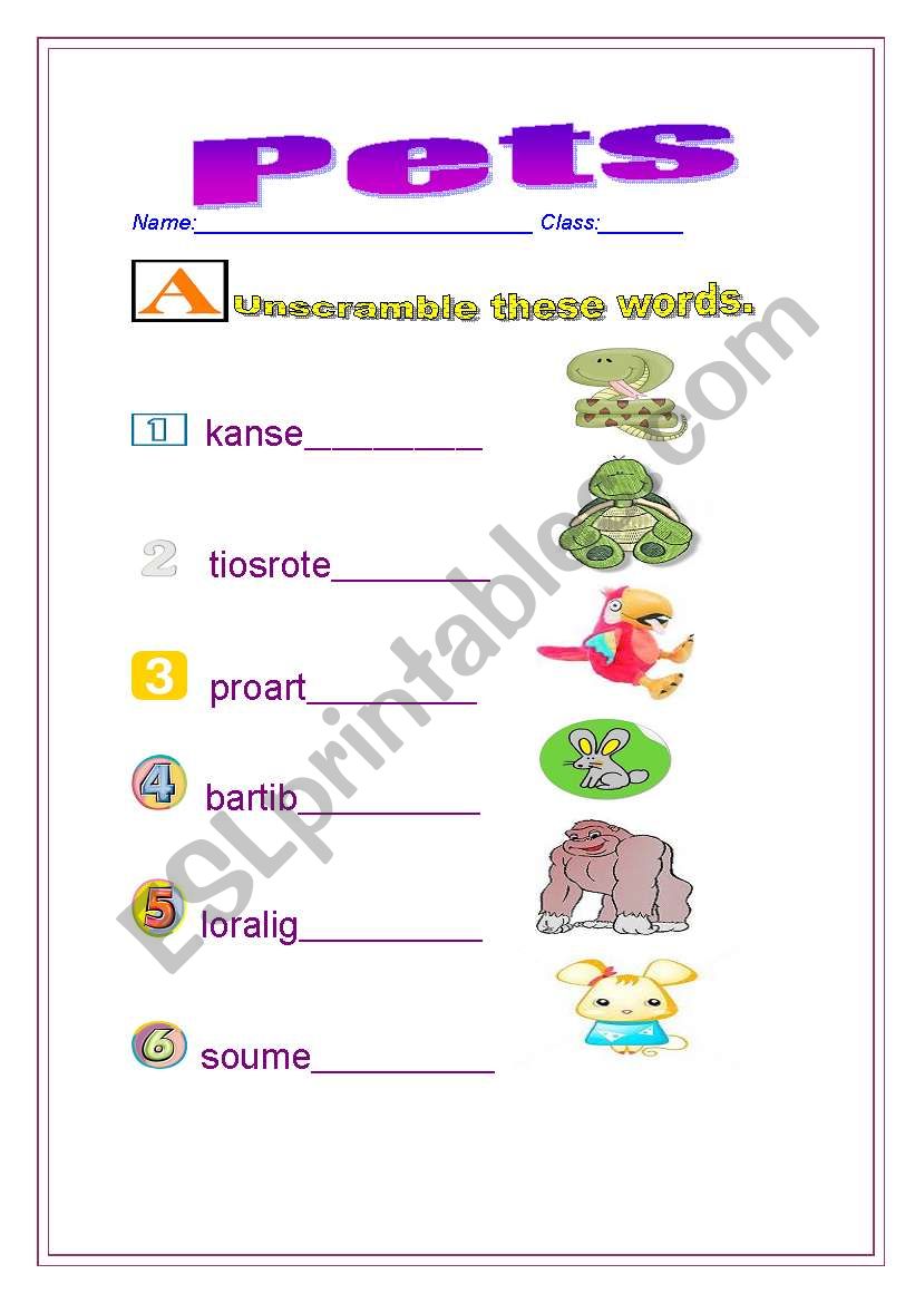 Pets worksheet