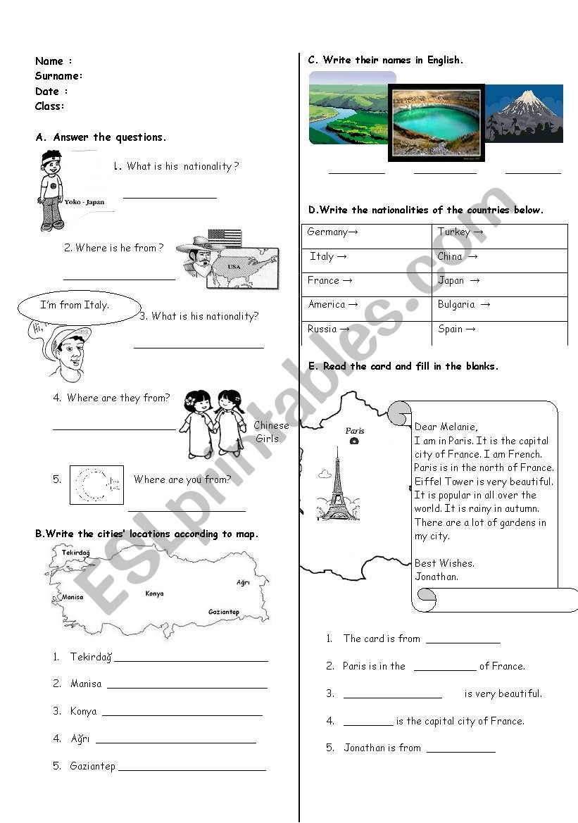 test worksheet