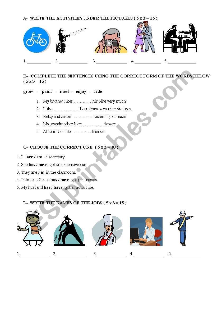 6th grade exam worksheet