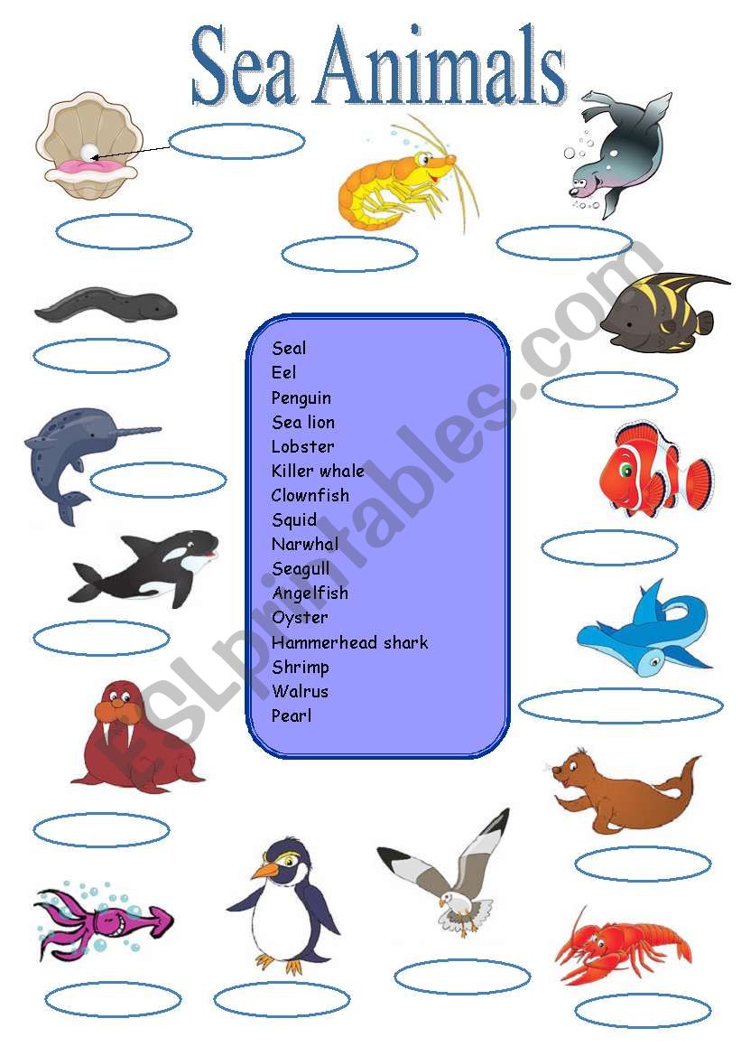 Sea animals worksheet