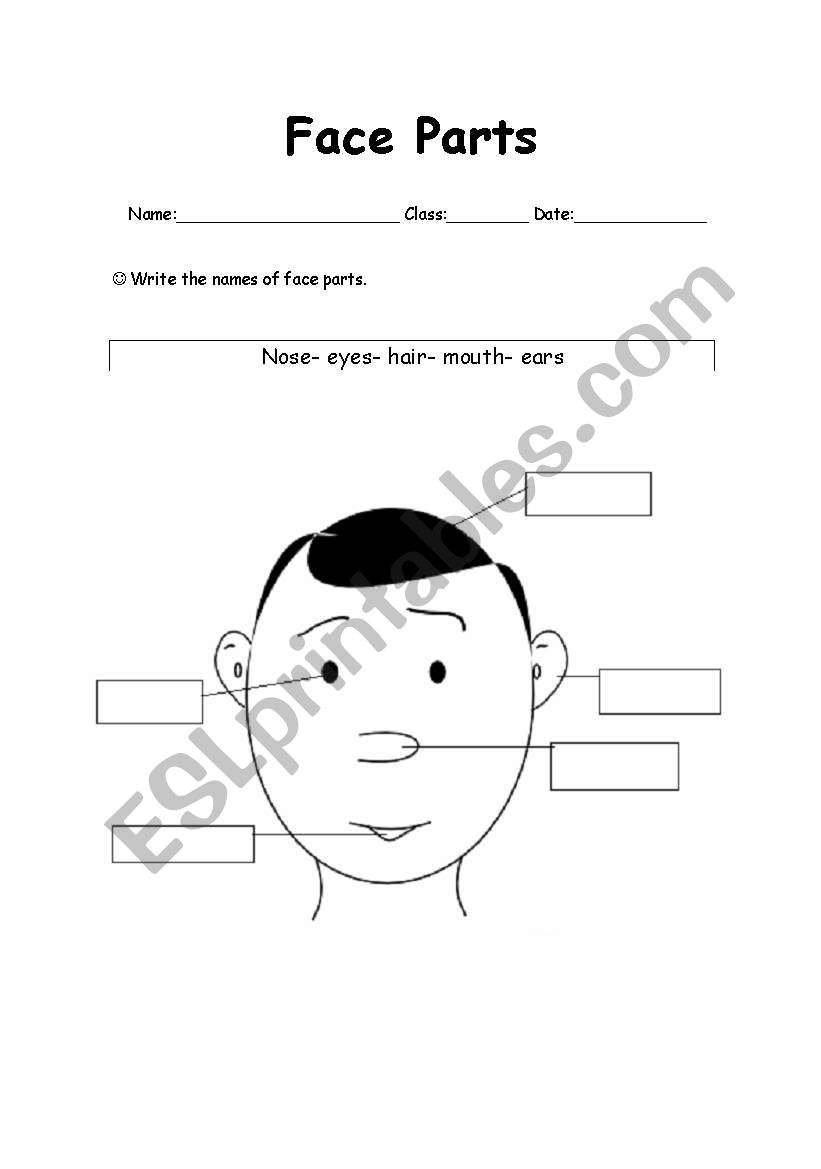 Face parts worksheet