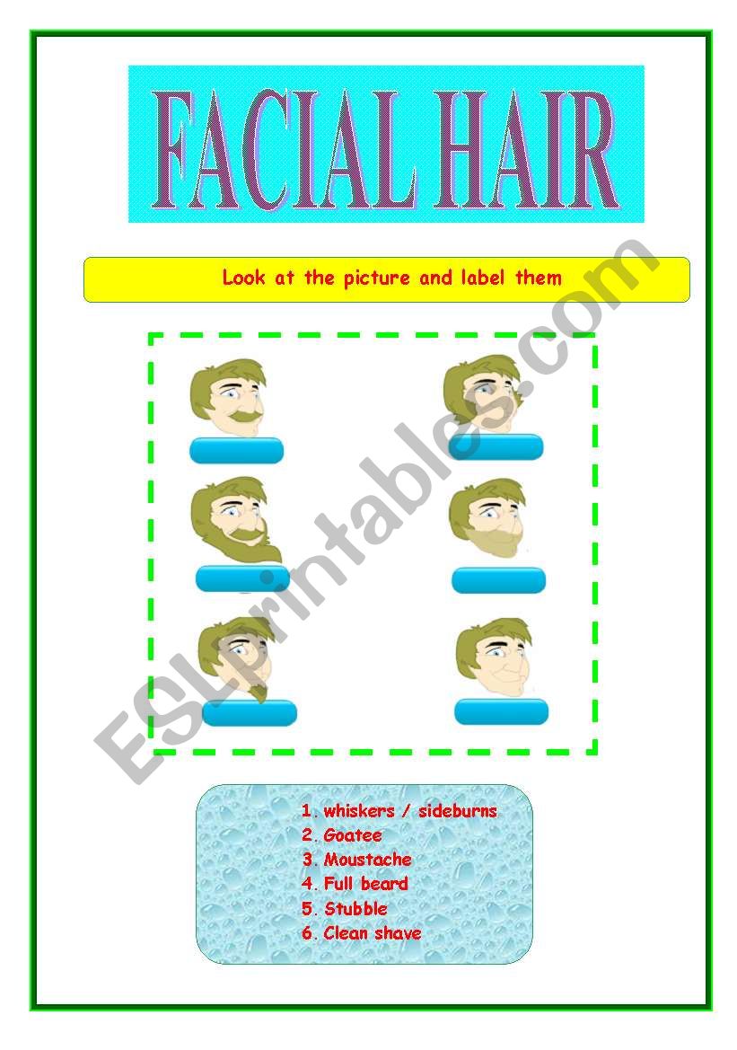 FACIAL HAIR worksheet