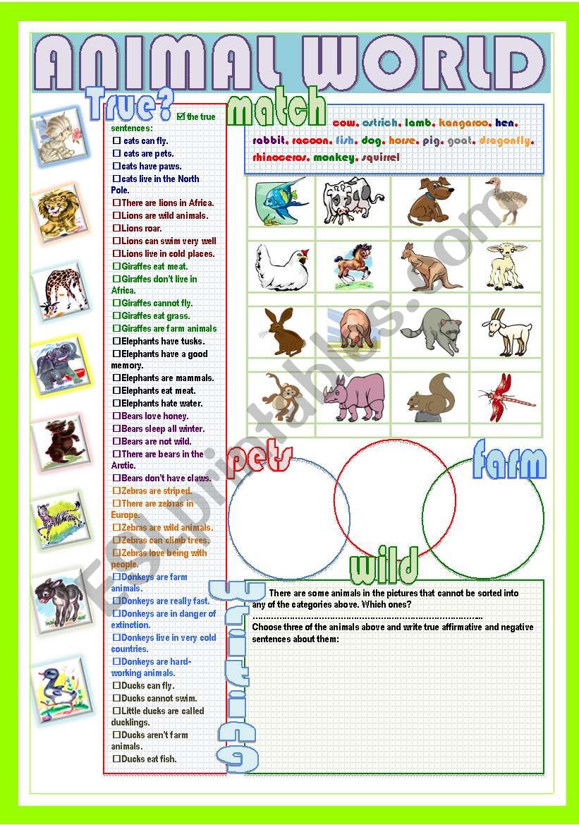 Animal world worksheet