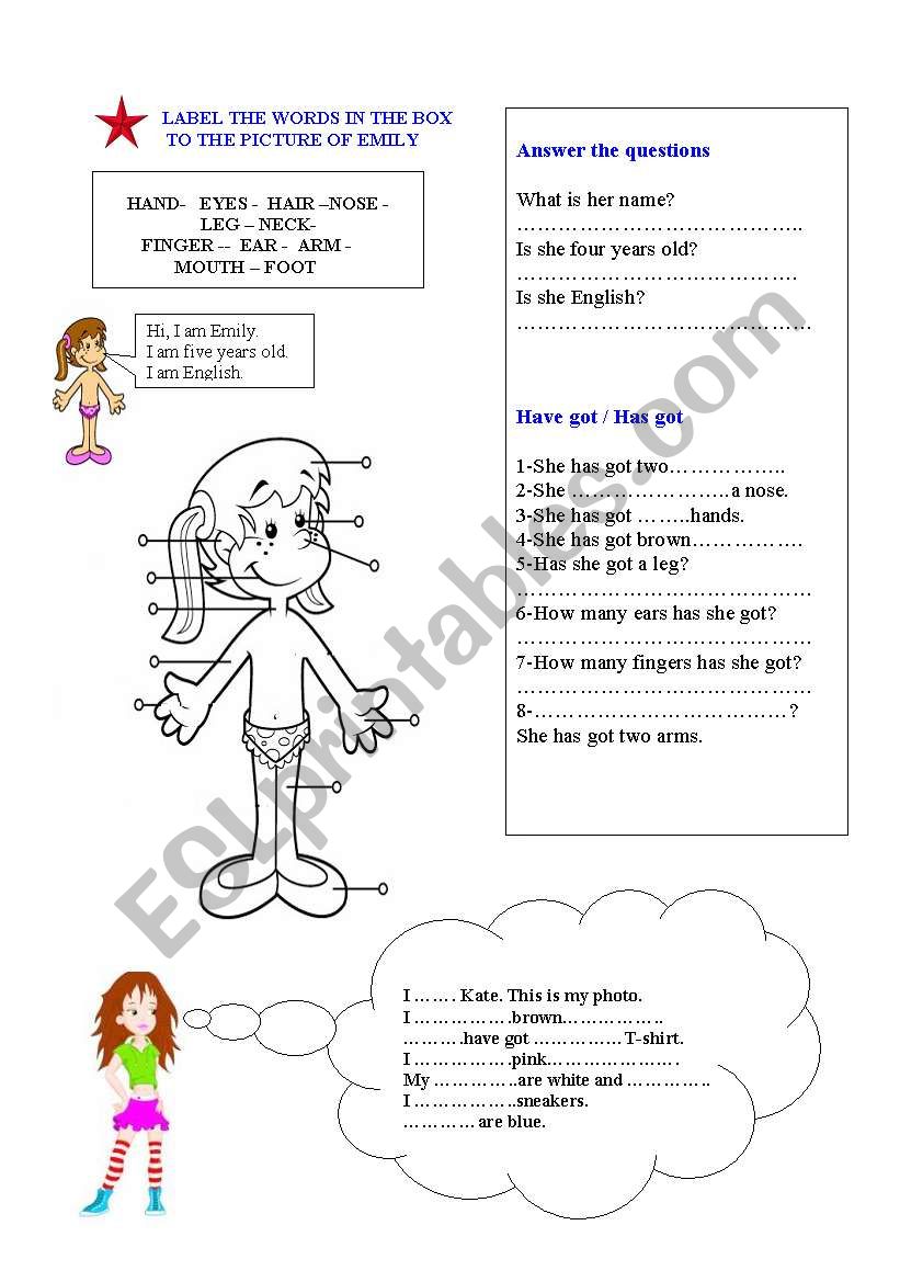 have/has got worksheet