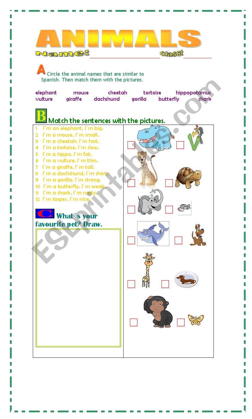 Animals worksheet