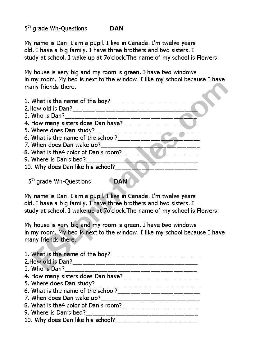 wh questions for beginners worksheet