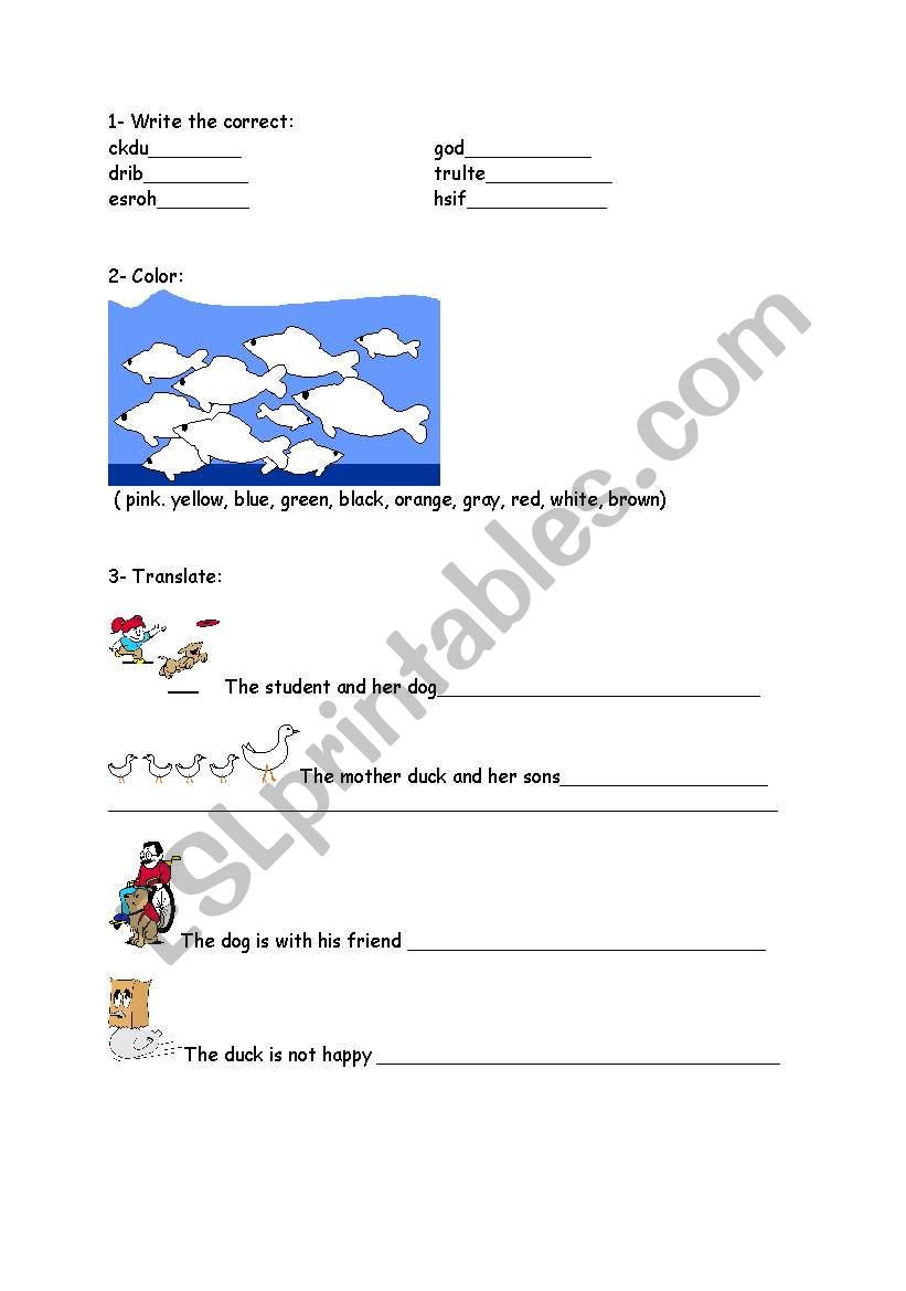 Animals and colors worksheet