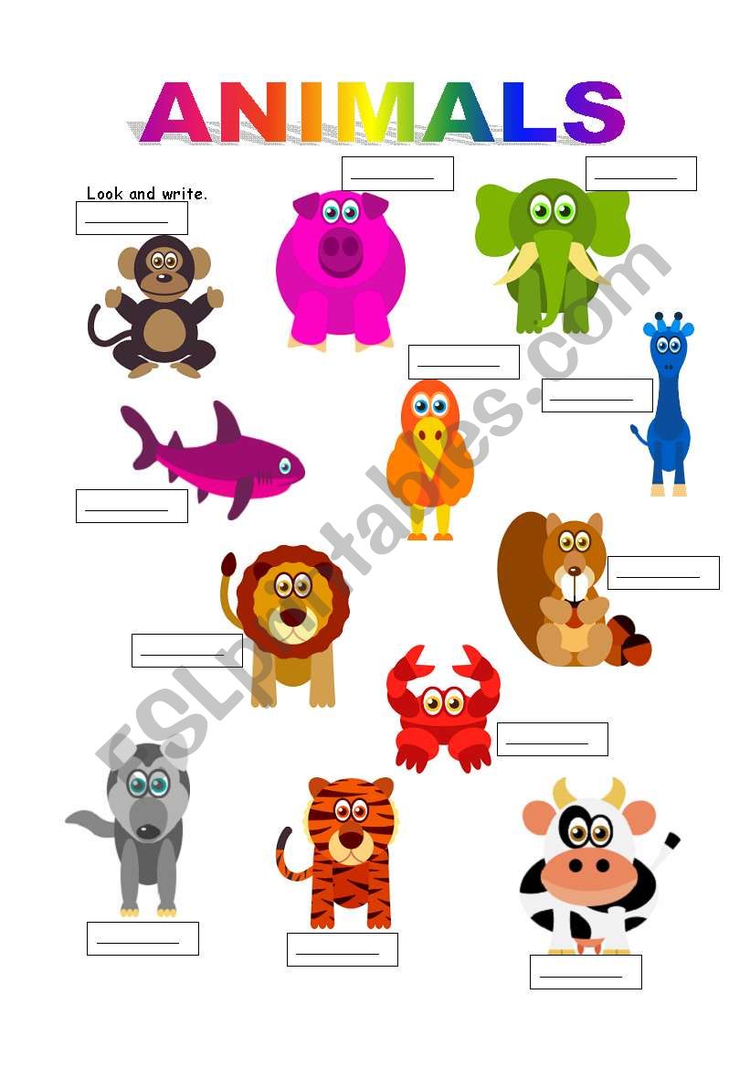 animals worksheet