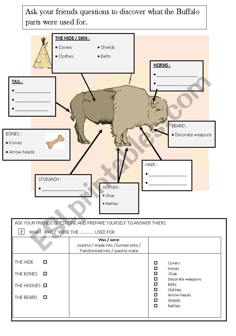 what was the buffalo used for - passive voice 