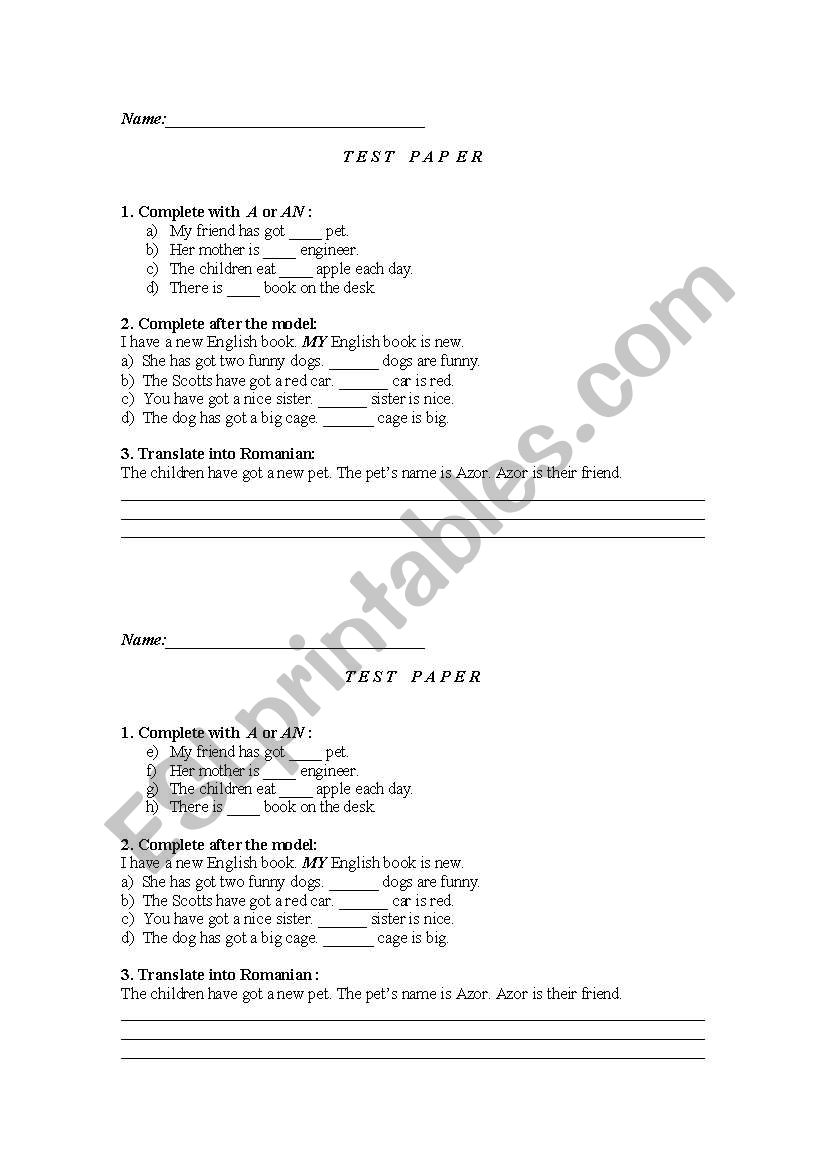 test parer/work sheet on possessives and article