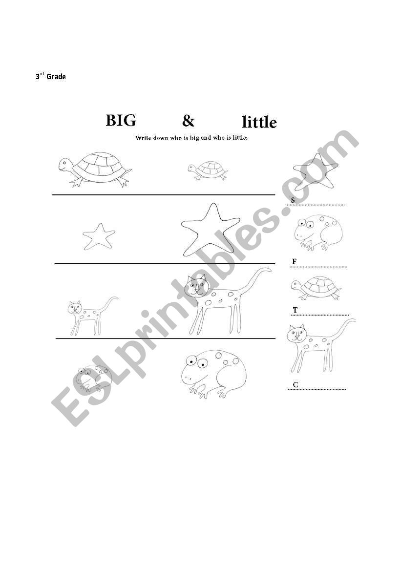 big and little worksheet