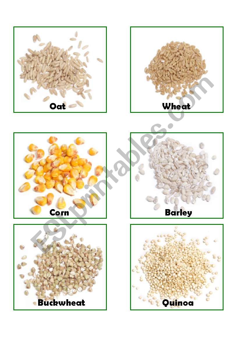 Types of Grains Flashcards worksheet