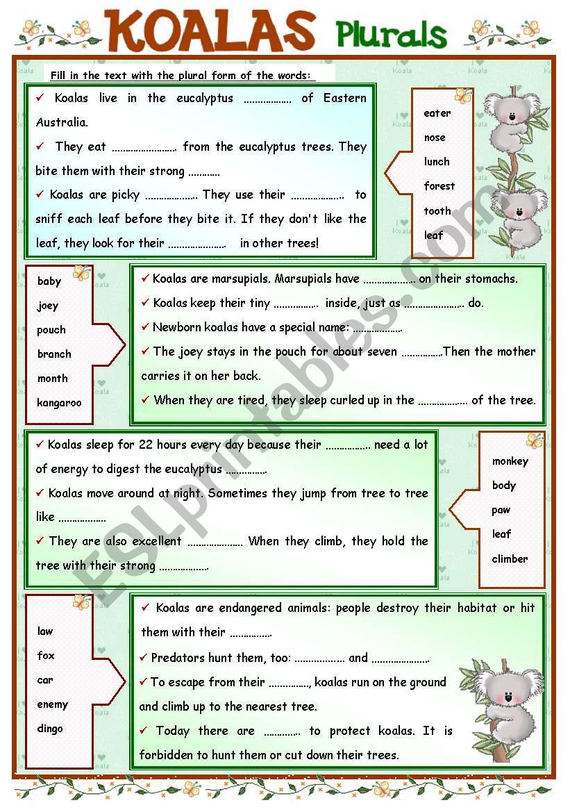 KOALAS + Plurals worksheet