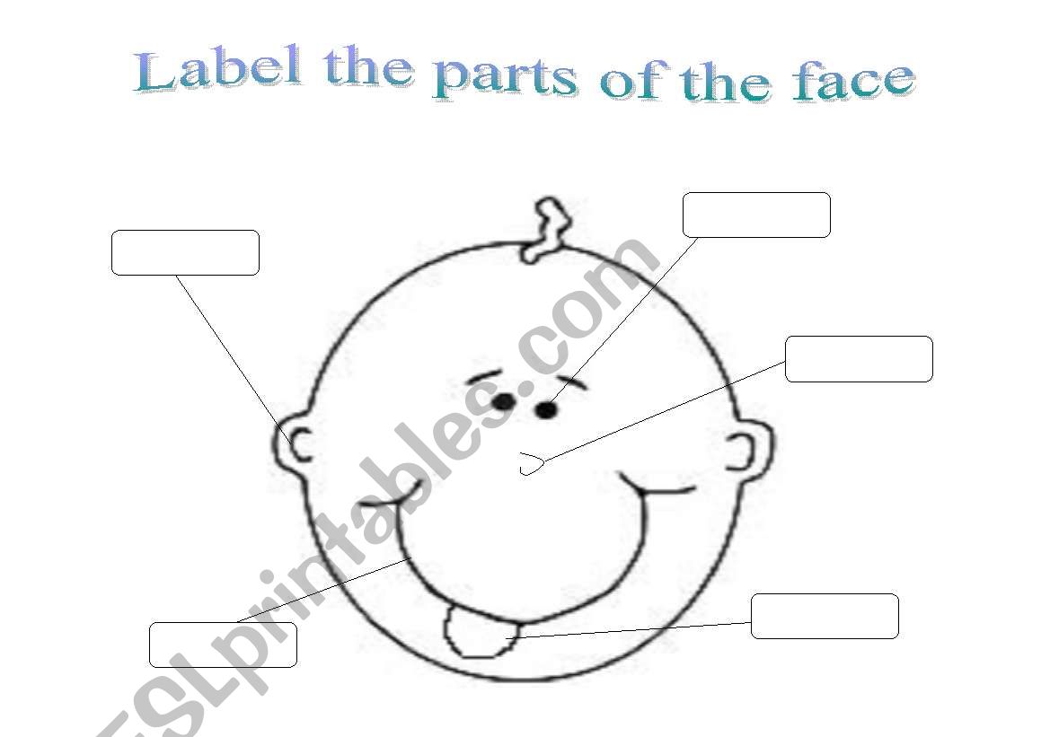 FACE PARTS worksheet