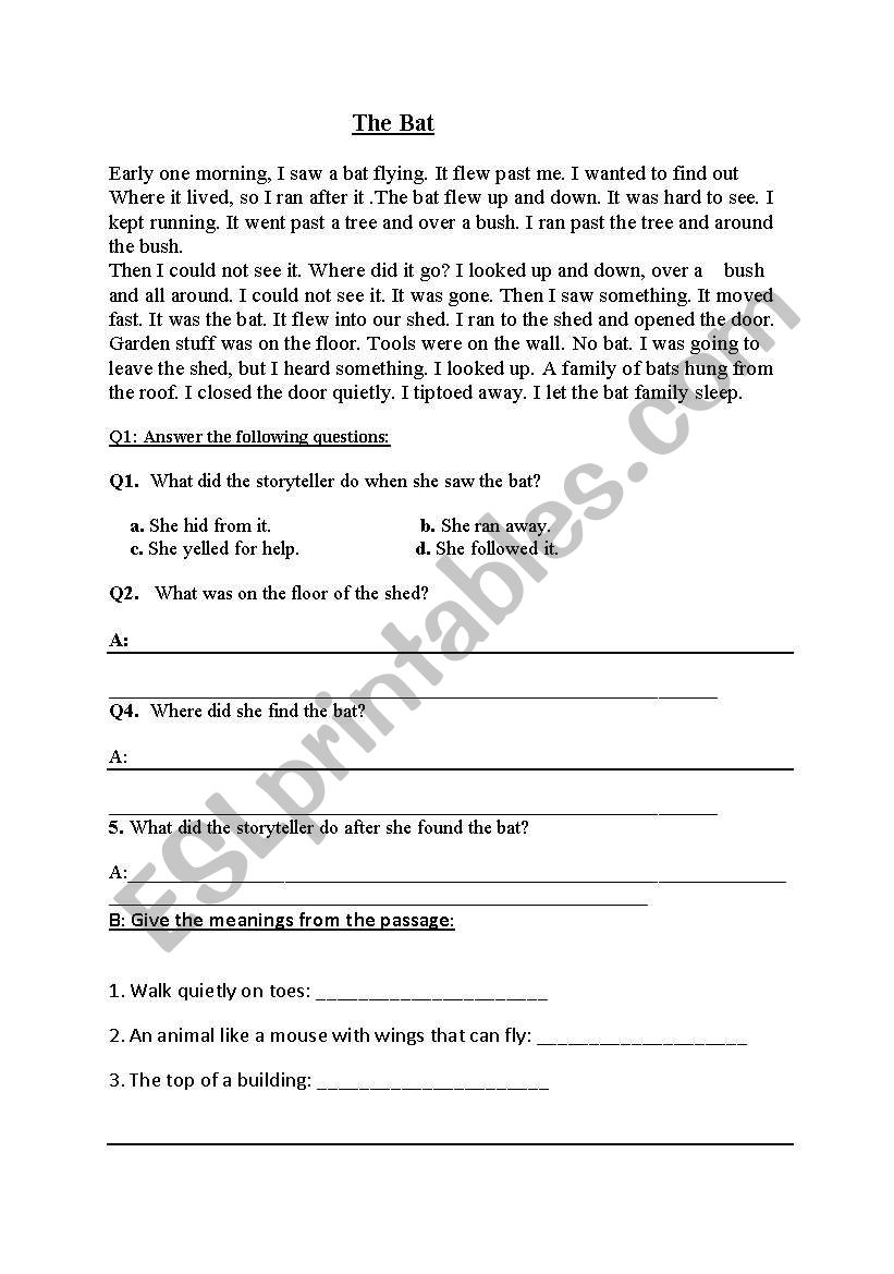 The Bat  worksheet