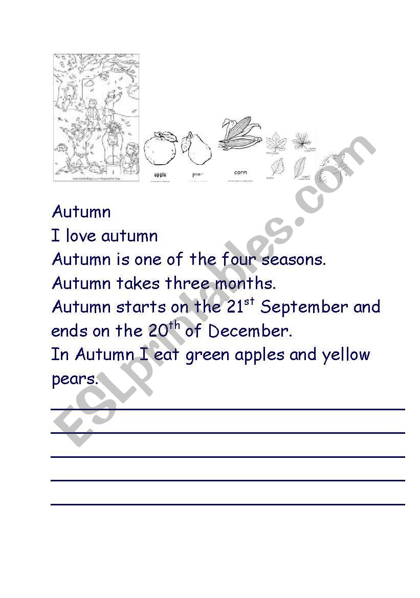 Autumn worksheet