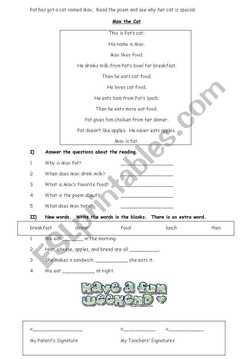max the cat worksheet