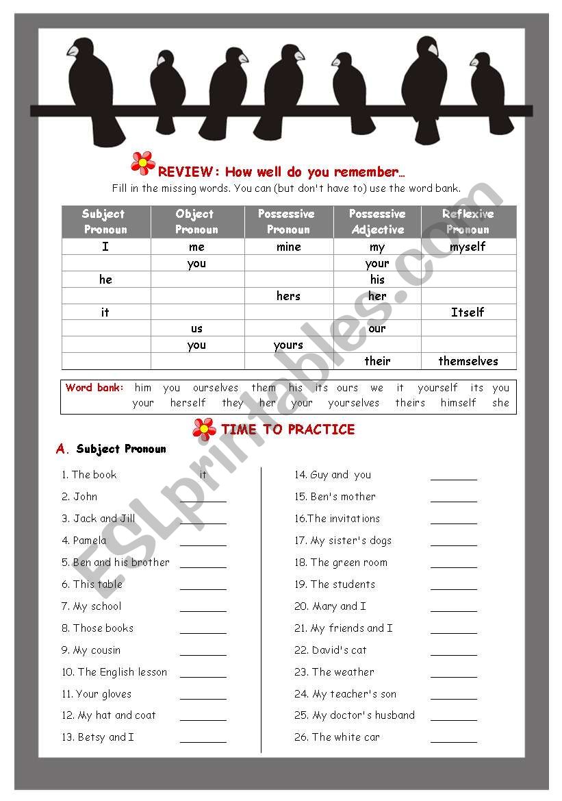 pronoun salad worksheet