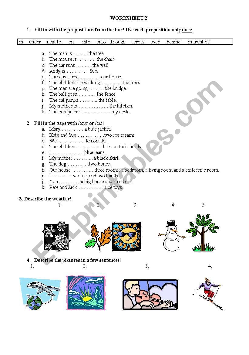 Revision worksheet worksheet