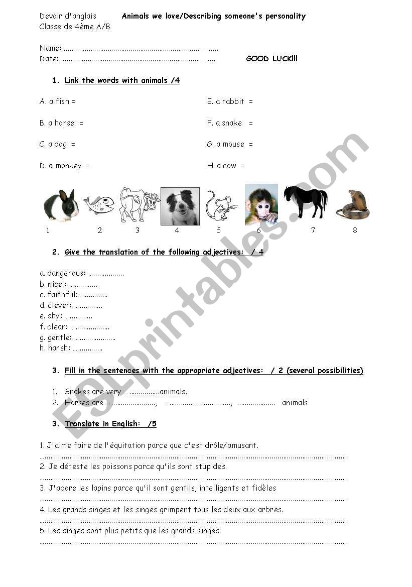 test about animals pets and adjectives