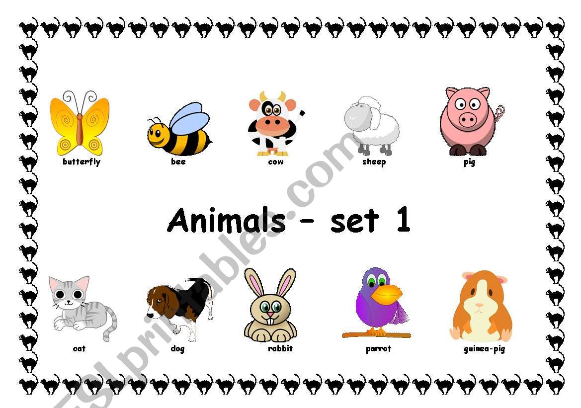 Animals worksheet