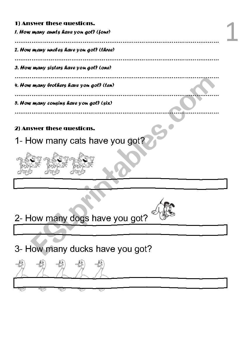 How many ... have you got? worksheet