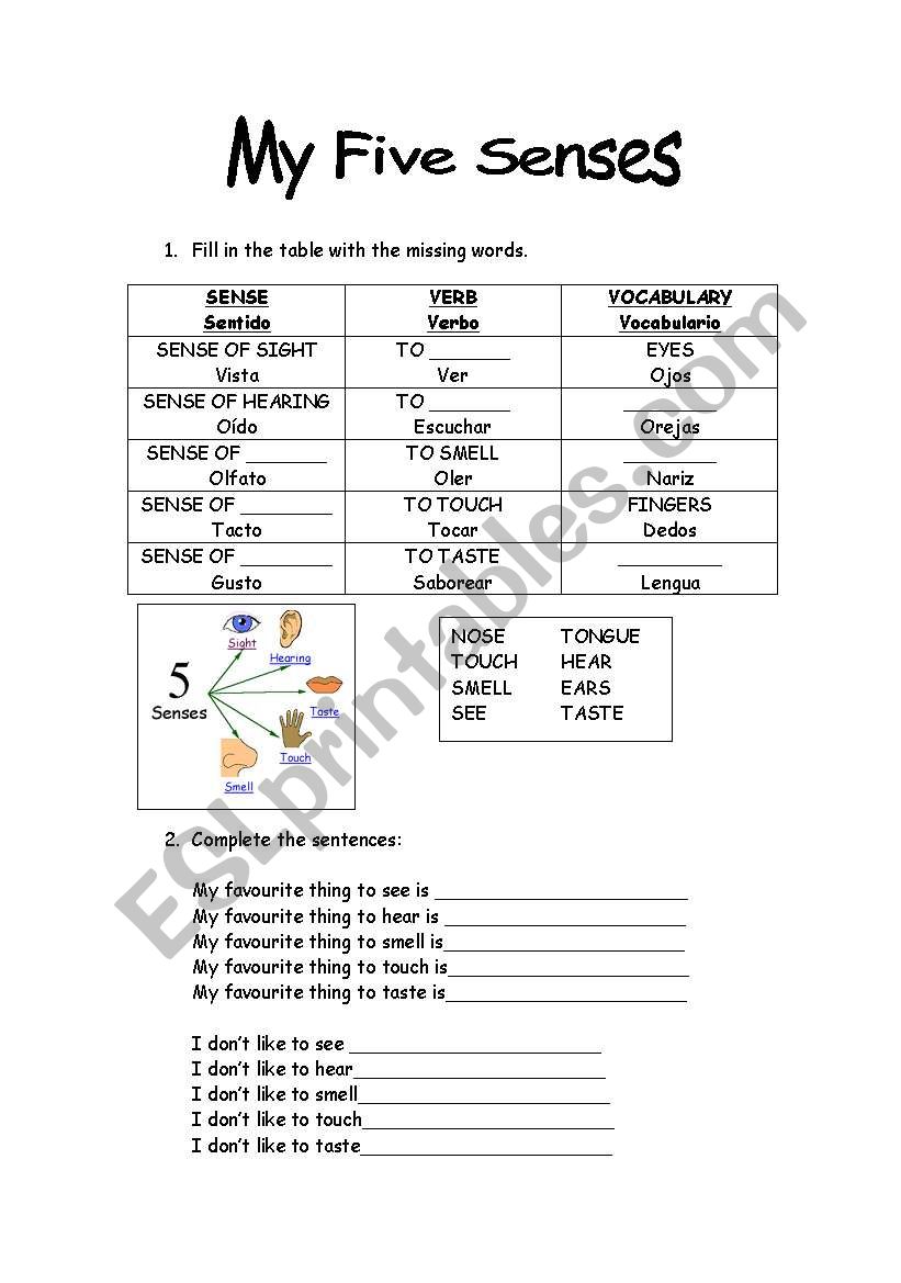 My five senses worksheet