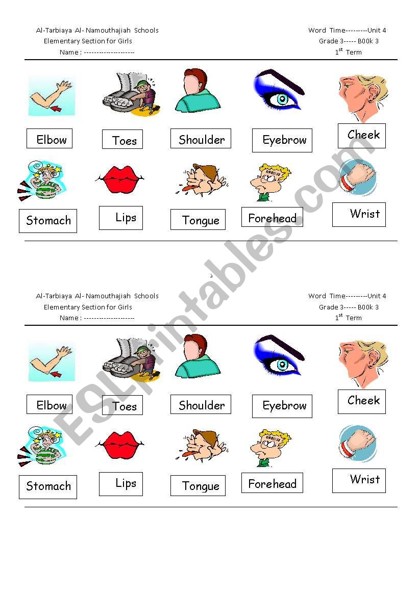 parts of the body worksheet