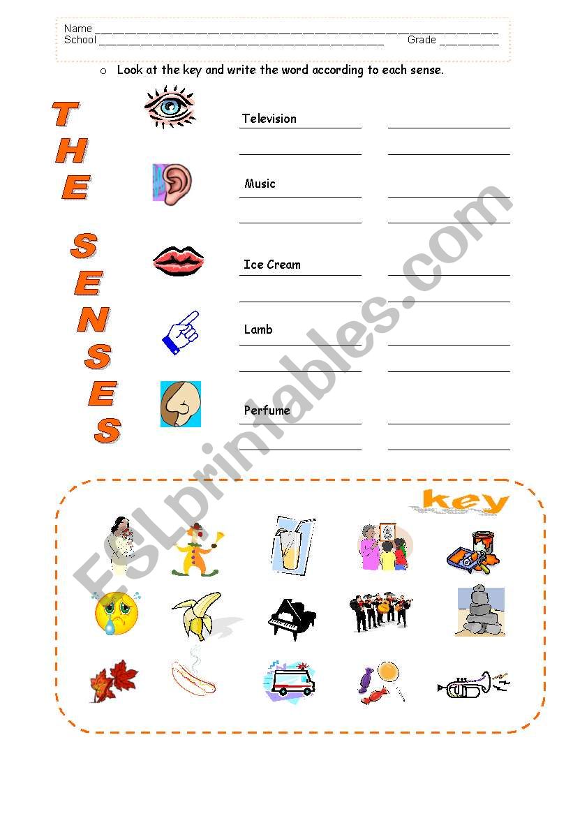 FIVE SENSES worksheet