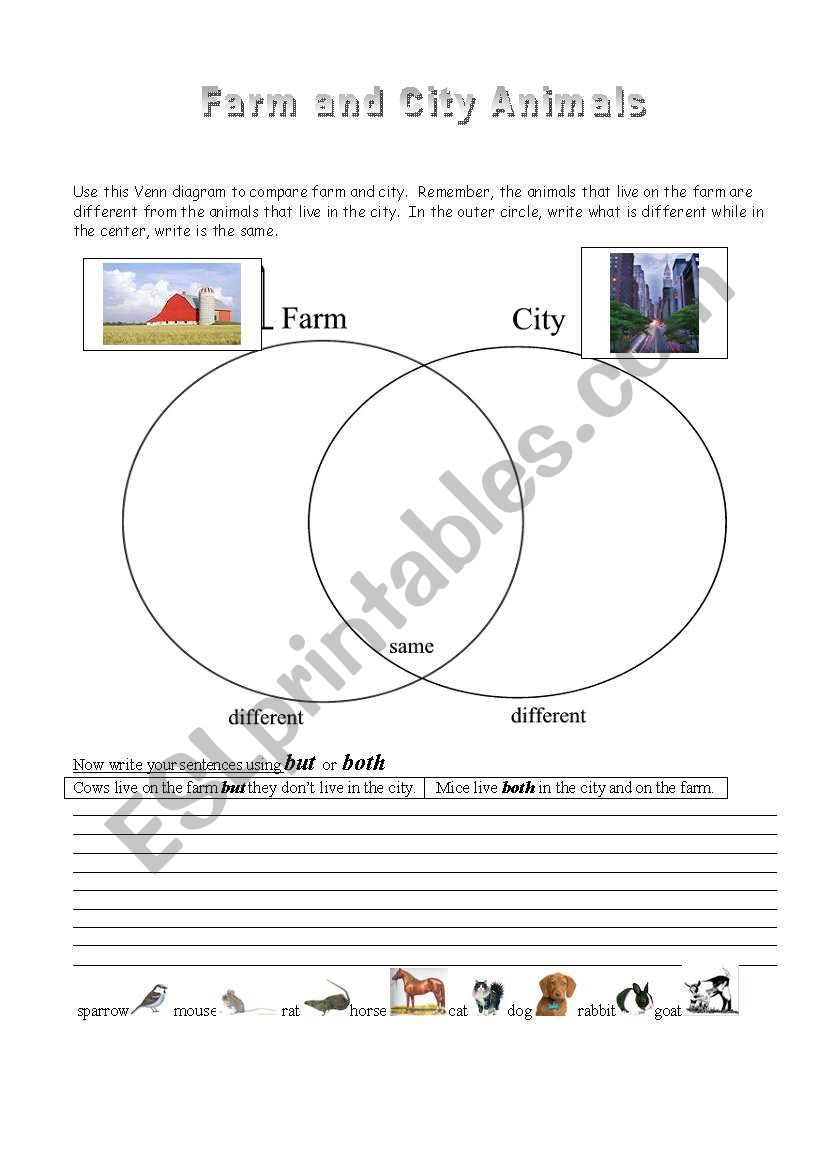 animals pets worksheet