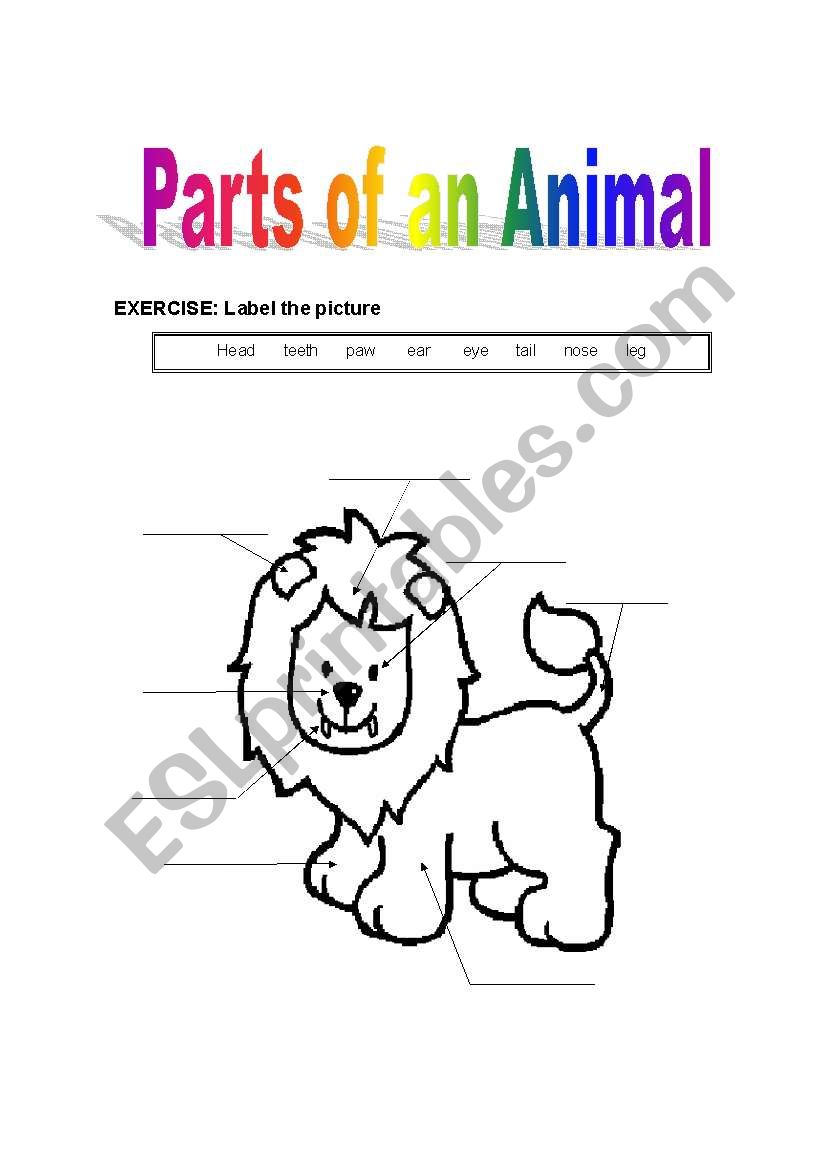 Parts of the animal worksheet