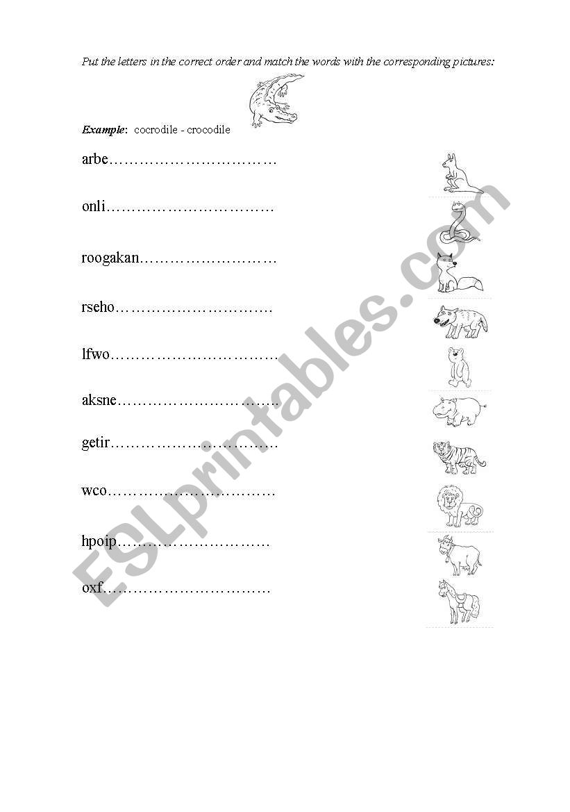 animals worksheet