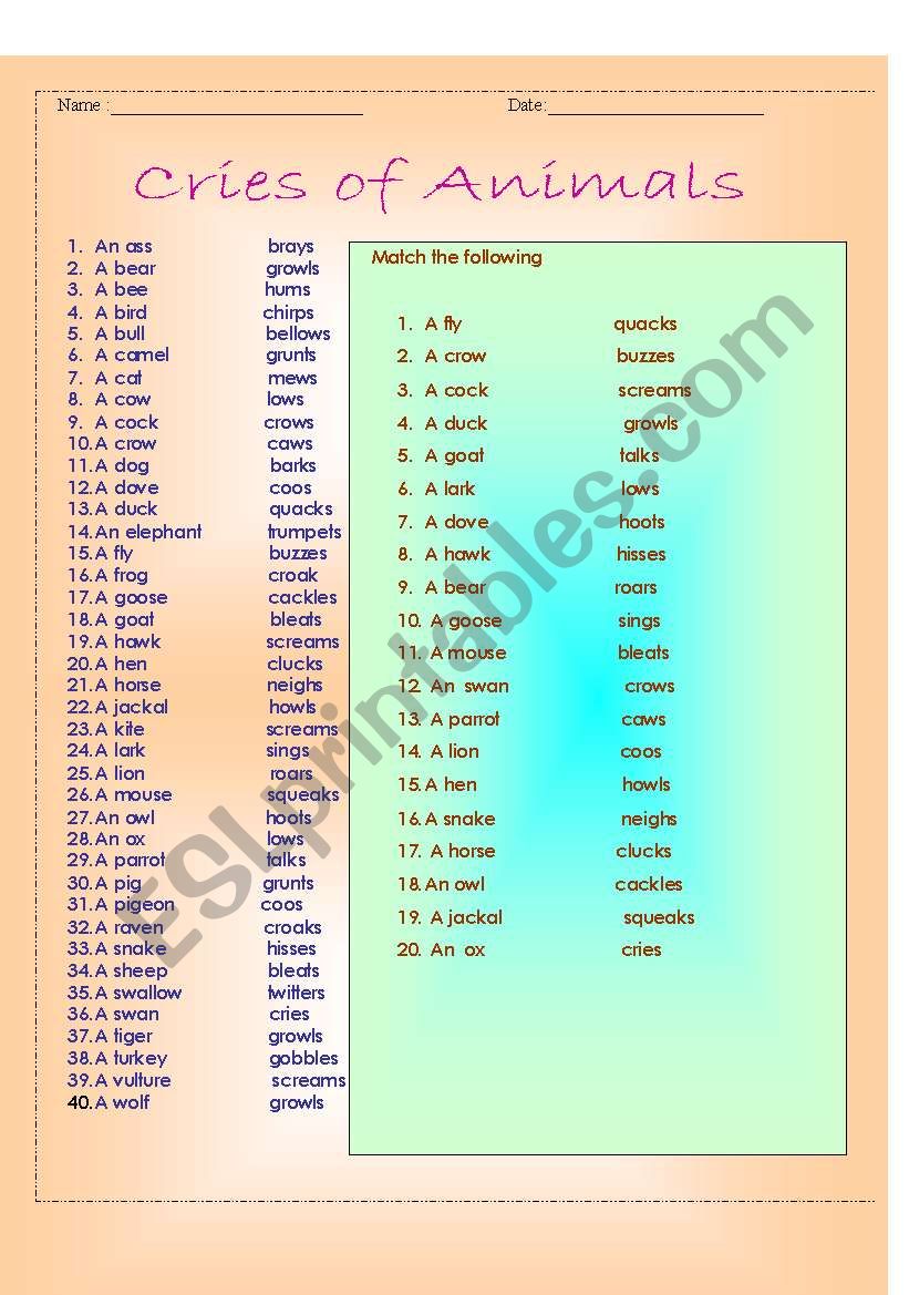Cries of  Animals worksheet