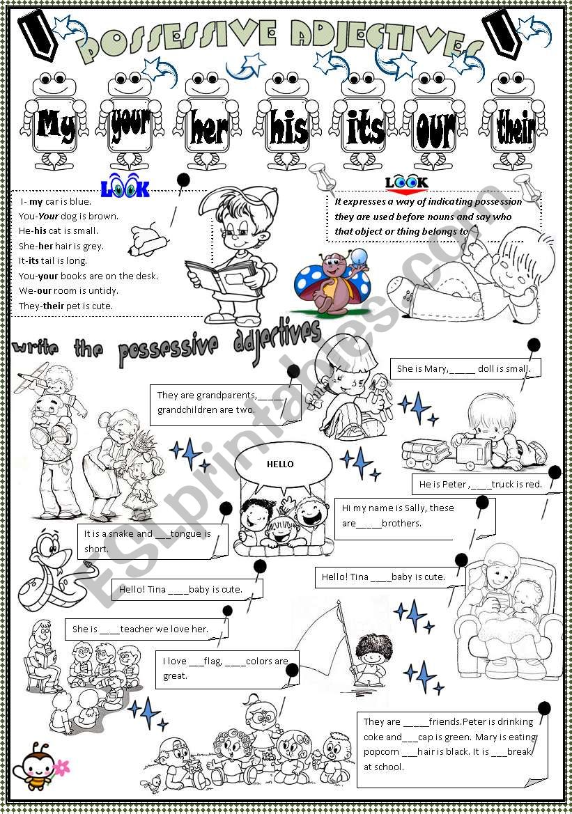 POSSESSIVE ADJECTIVES worksheet