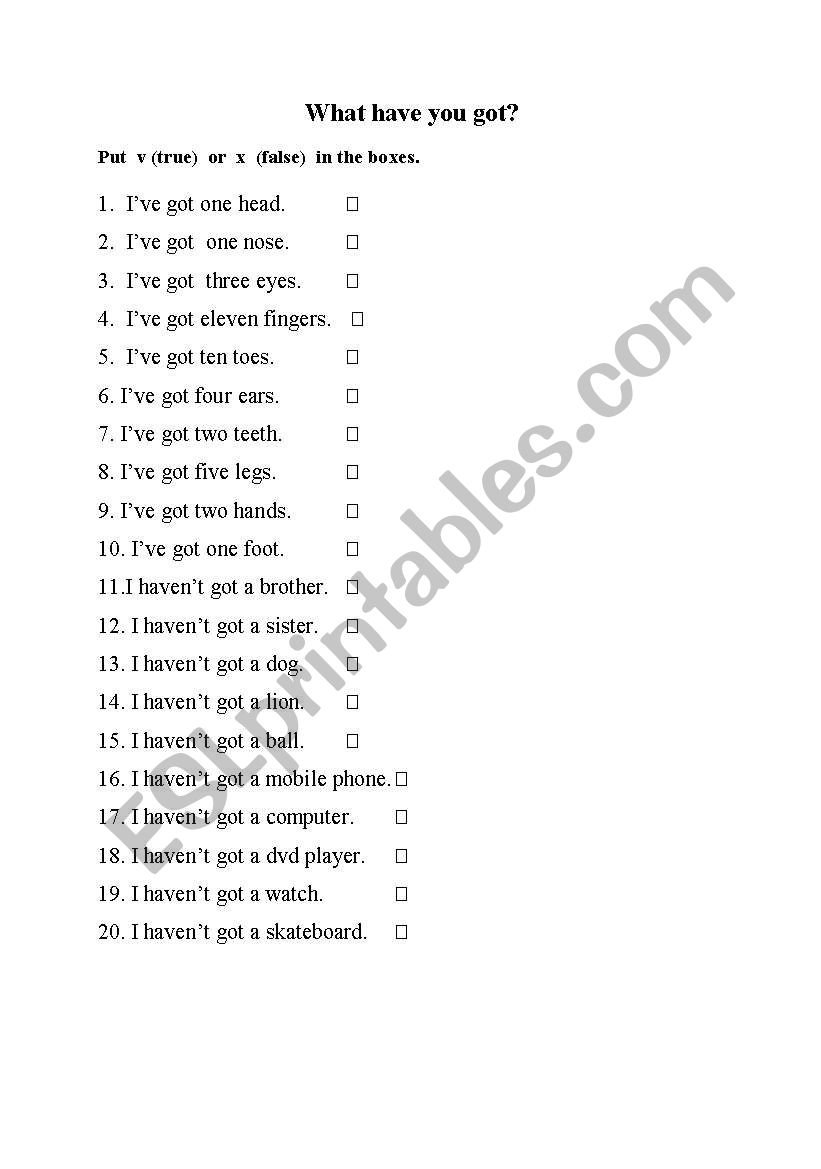 What have you got? worksheet