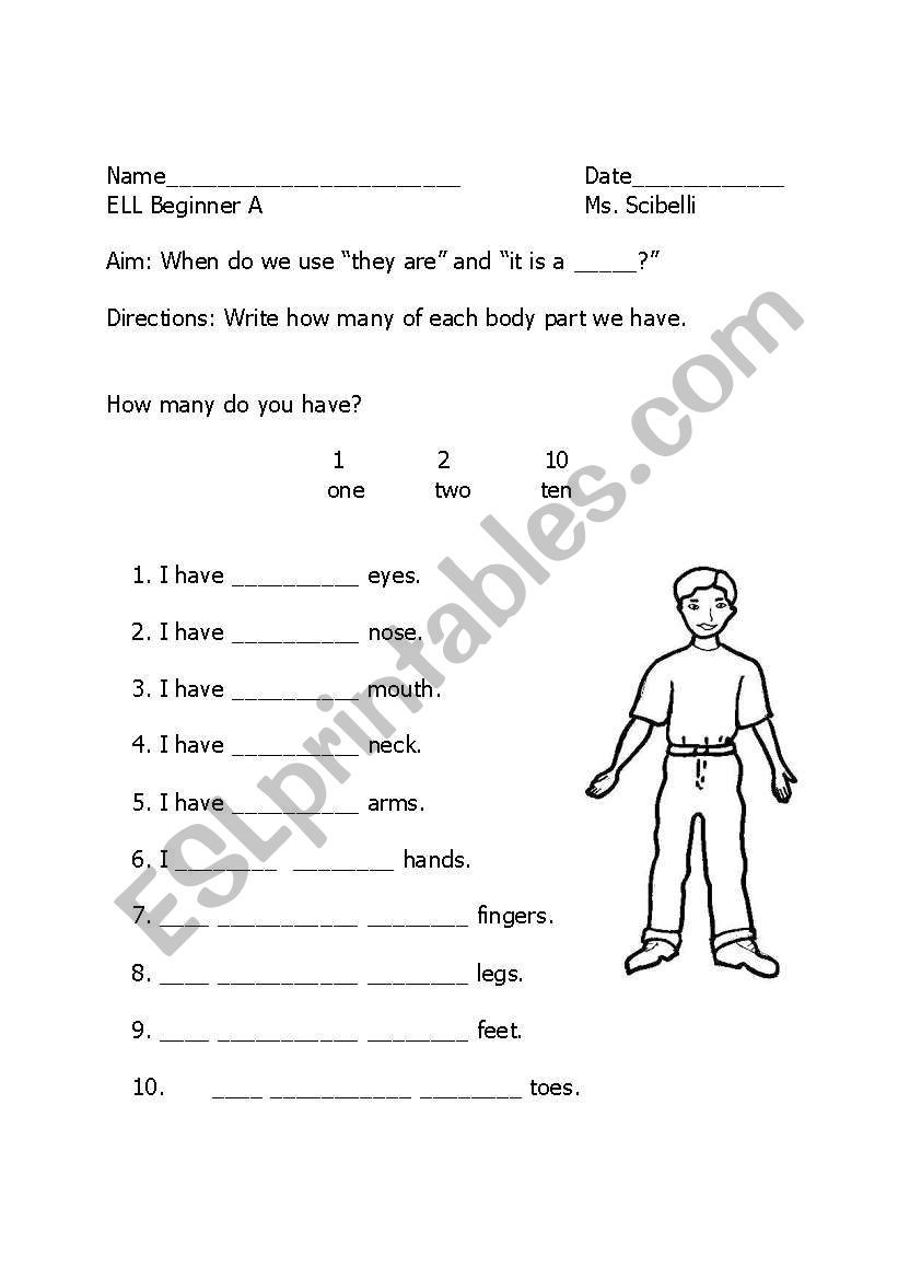 How Many? worksheet