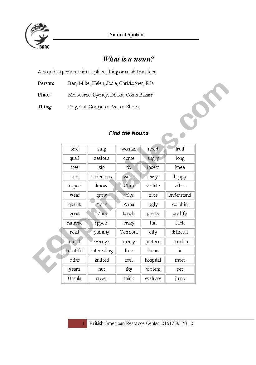 What is a Noun? worksheet