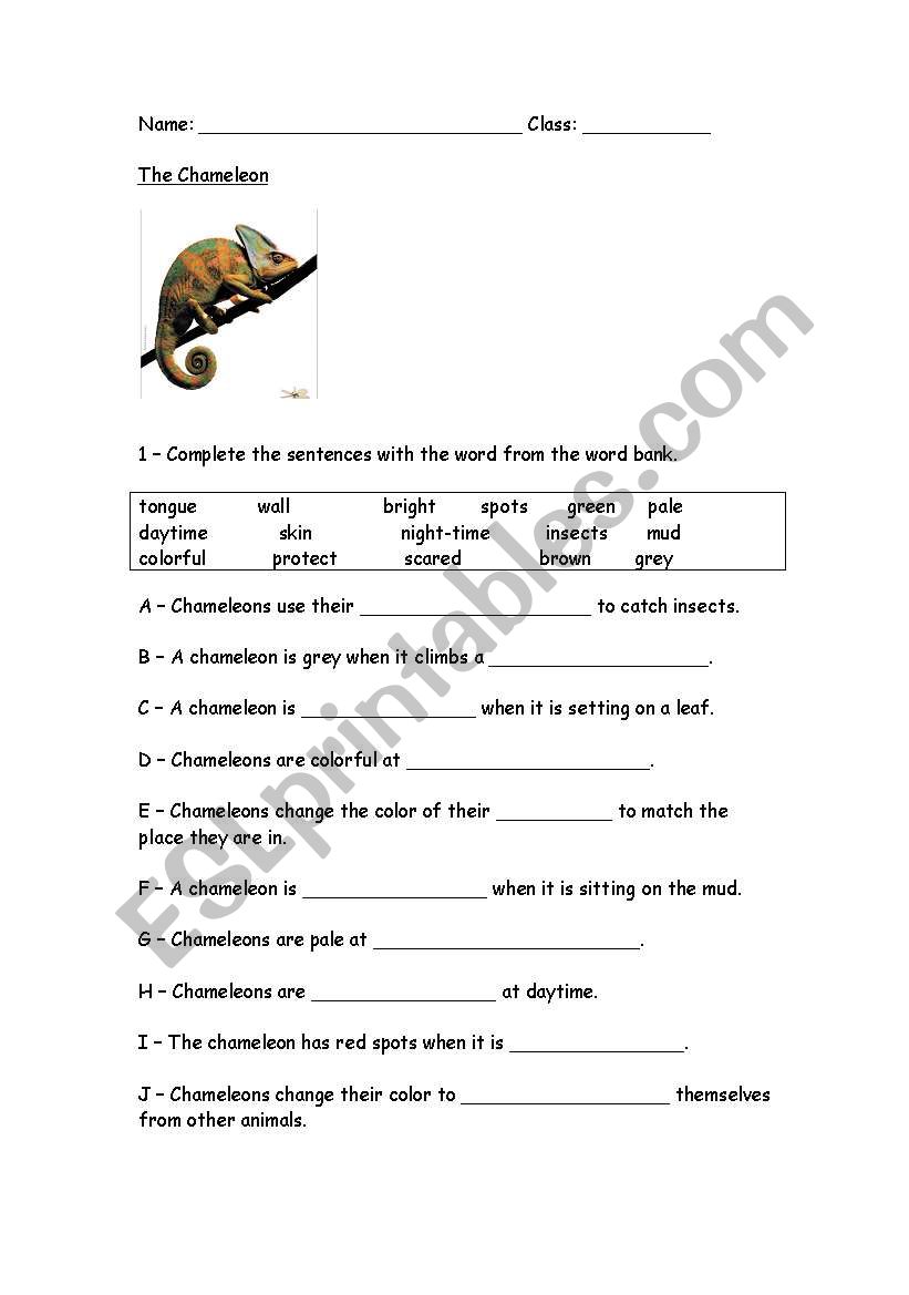 The Chameleon worksheet