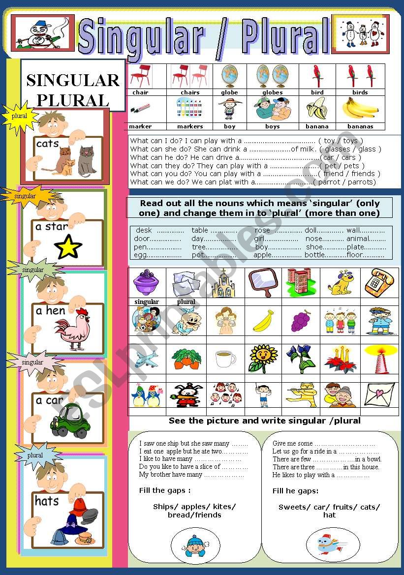 Singular and Plural worksheet